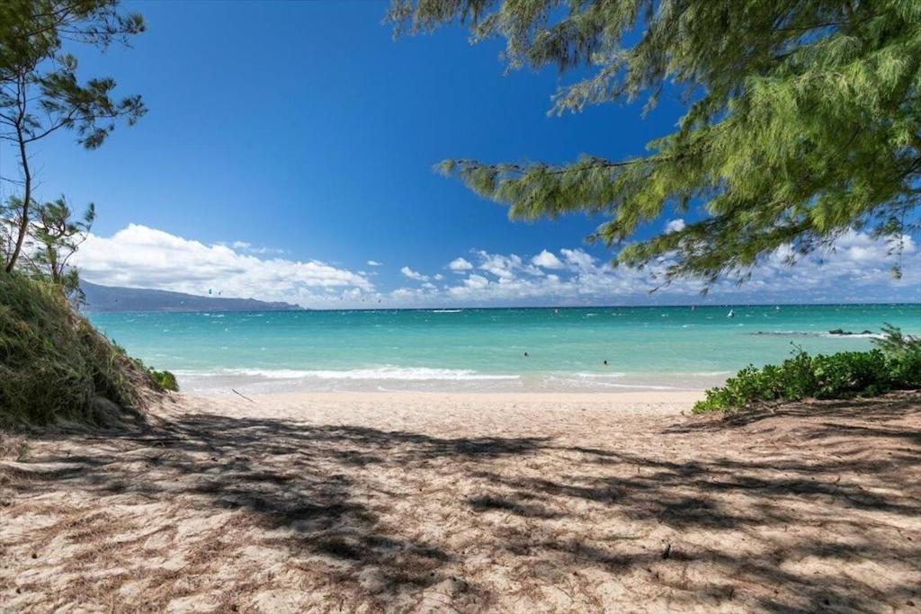 Unit 14 Maui Ohana Modern Studio Wailuku Zewnętrze zdjęcie
